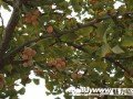 ֮硪۰ط (5)