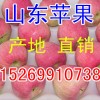 ɽ츻ʿƻ