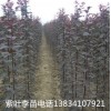 3Ҷӣ-4Ҷӣ-5Ҷӣ