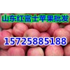 츻ʿƻг۸Ӧ